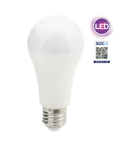 Pack 10 Ampolleta LED 15 W Luz Fria Megabright Base E-27